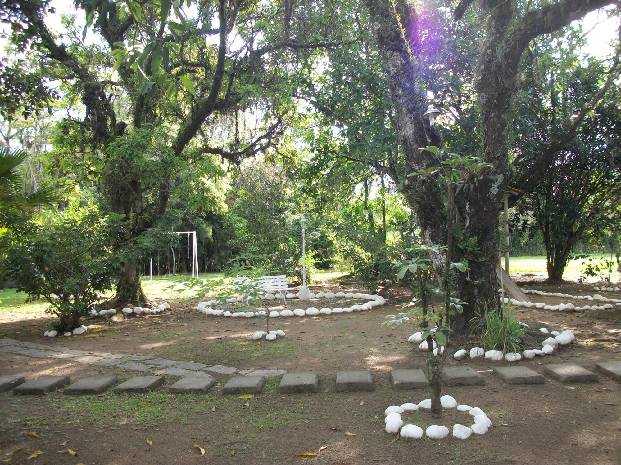 Ypê Amarelo 3* Itatiaia (Rio de Janeiro)